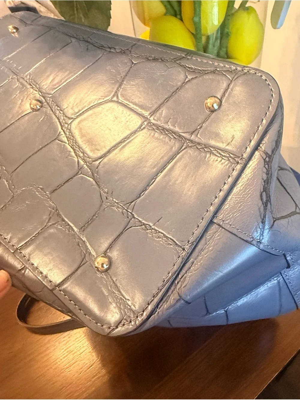 Dooney and Bourke xl tote